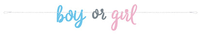 Banner gender reveal 🩵🩷